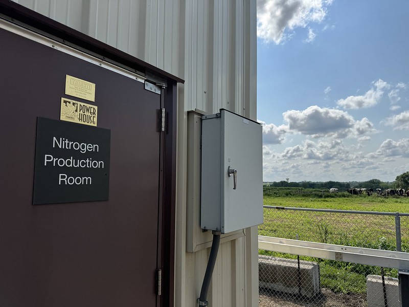 54713684317_d551577832_c