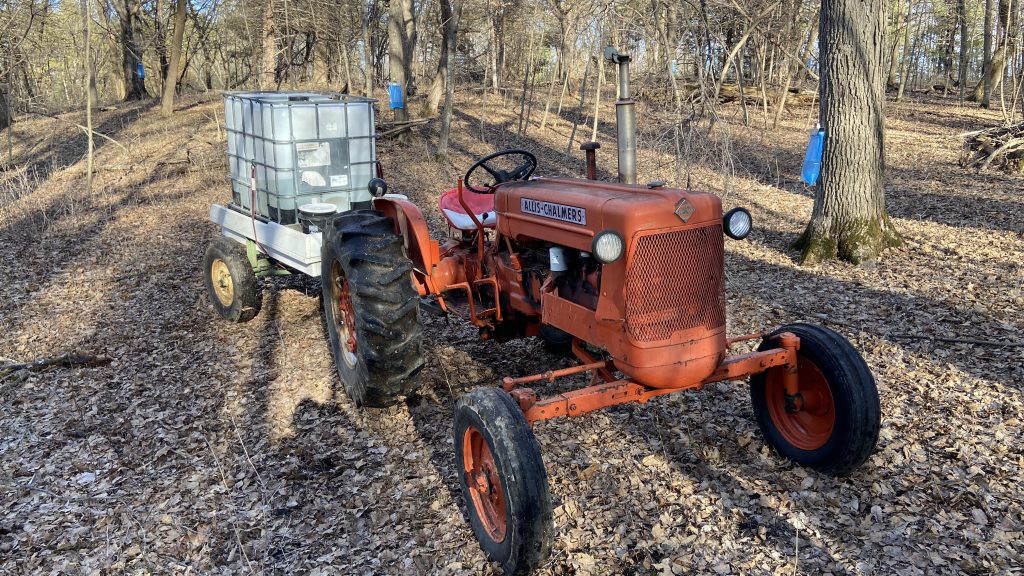 A small tractor pulling a container of sap among tapped maple trees.
