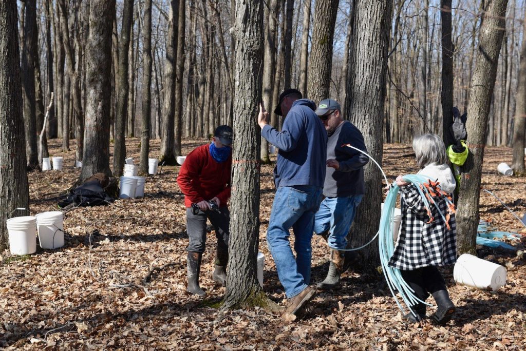 Four people holding equipment such as a drill and sap tubes in a landscape full of trees.