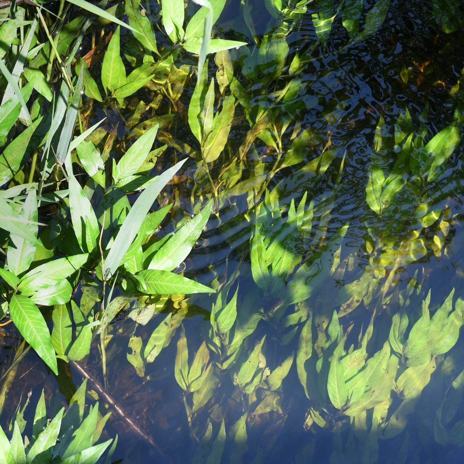 54714707861_2ee5e7e643_o