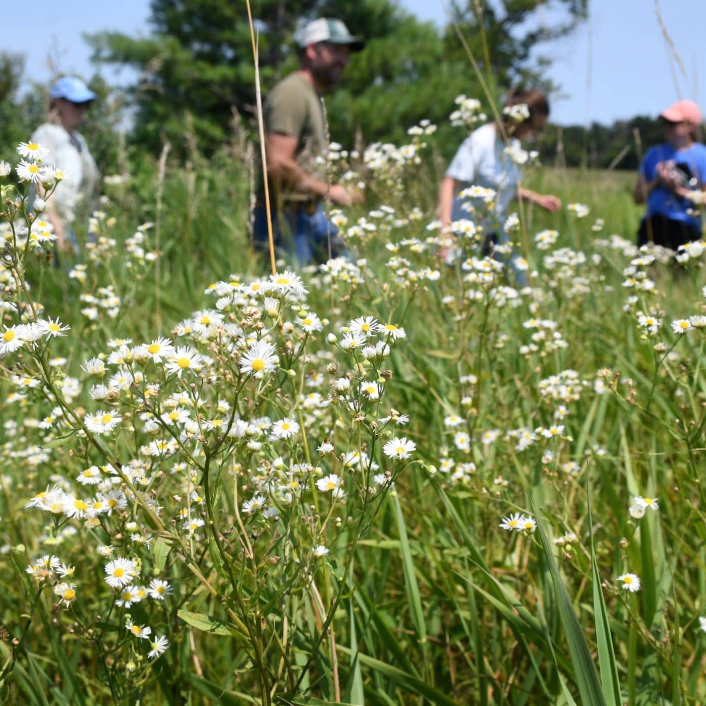 54714964964_0ca2b64751_o