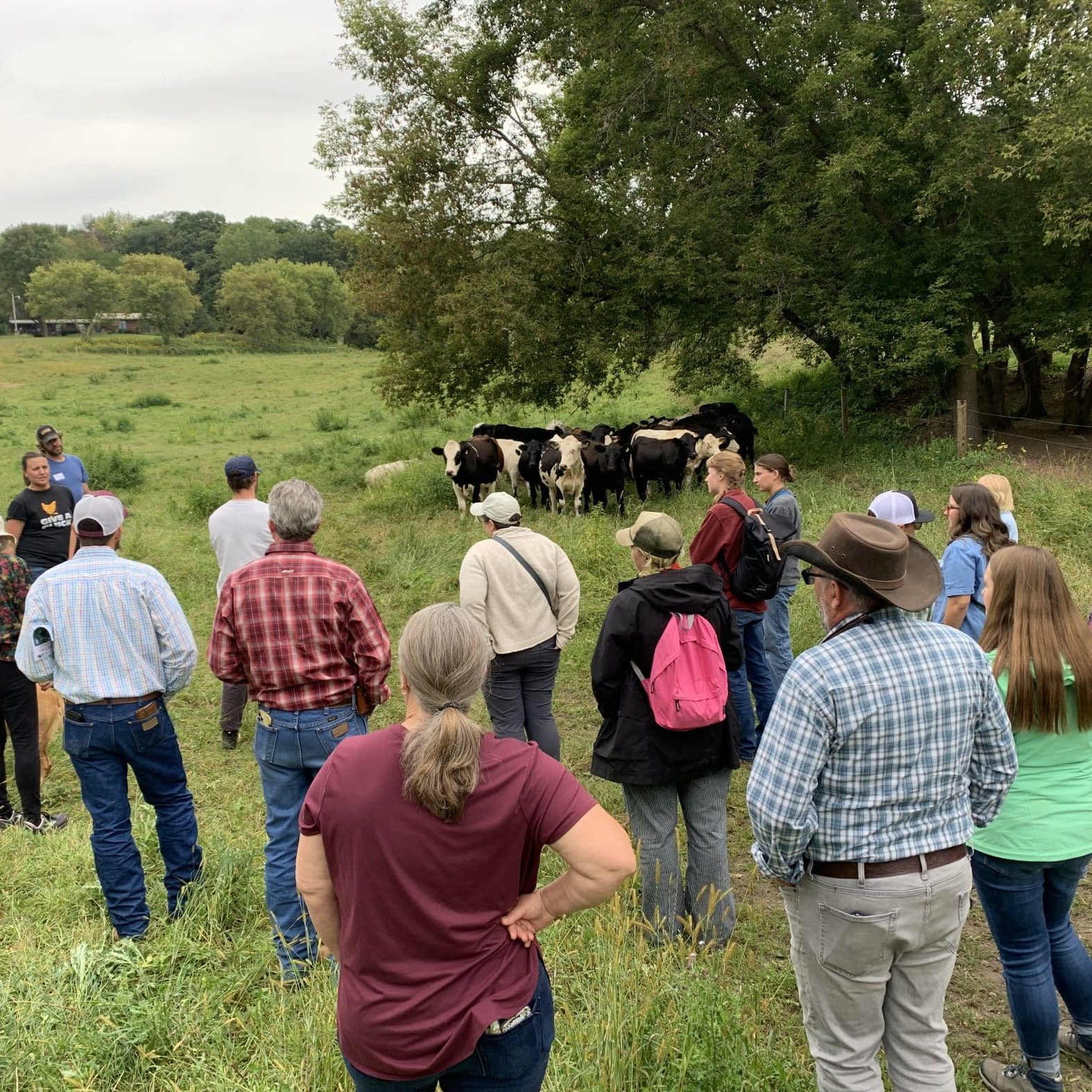 54778439425_fa4a6ff1ea_o