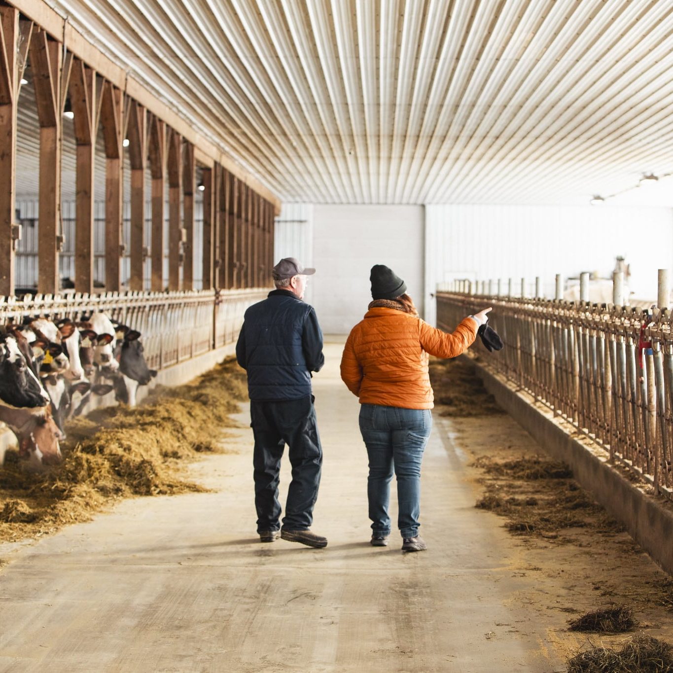 55075962667_e37d52360d_k