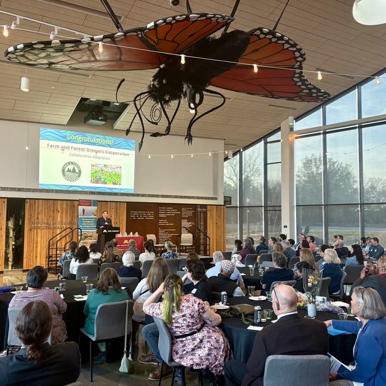 FFGC MCAP award audience with butterfly