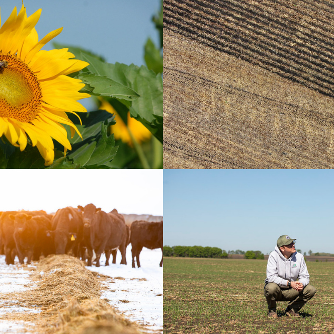 Through the Seasons Webinar Graphic (1) (3) (2)