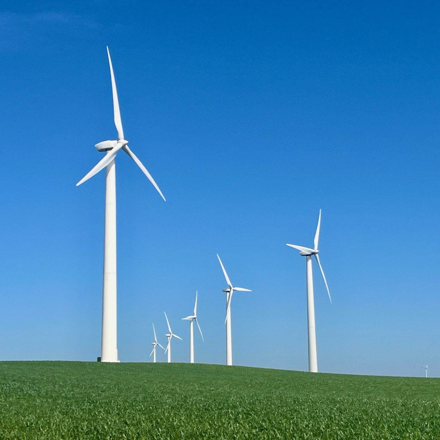 Wind picture