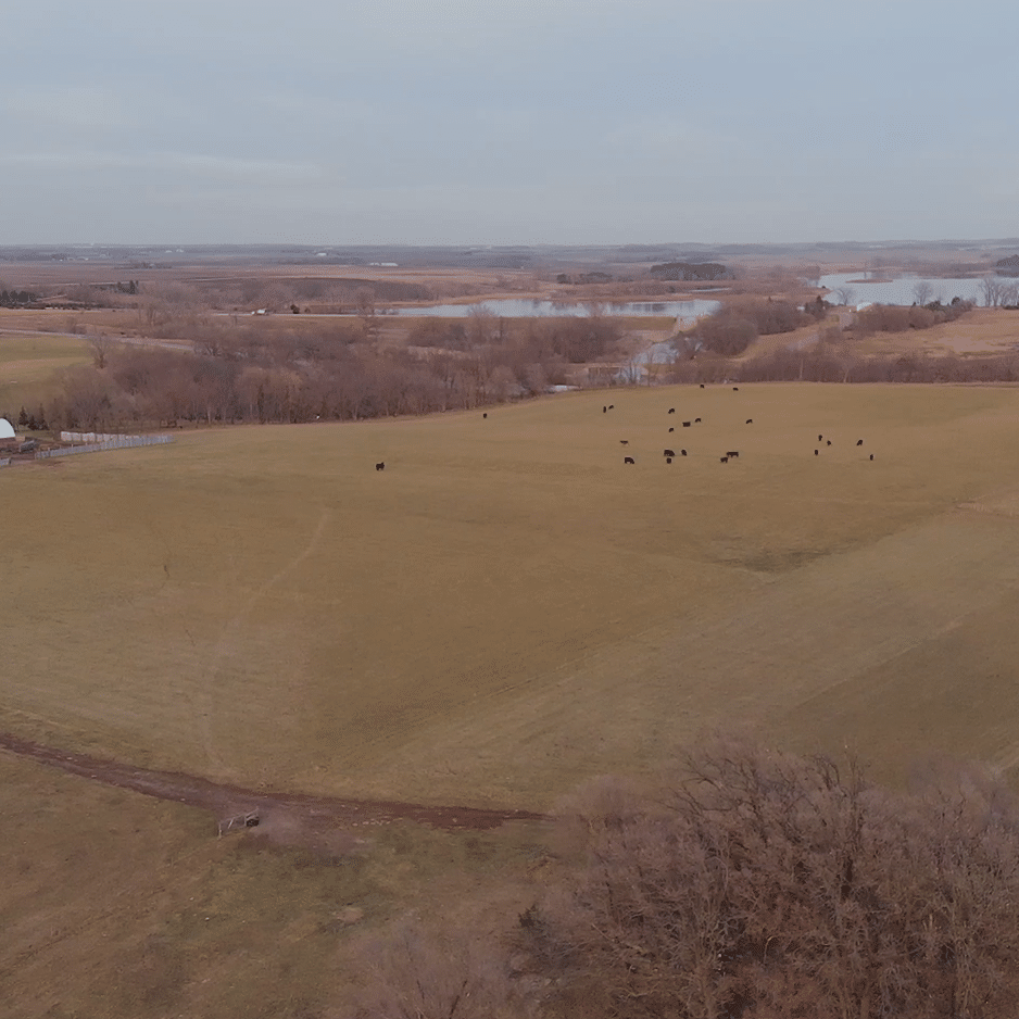 lindig farm